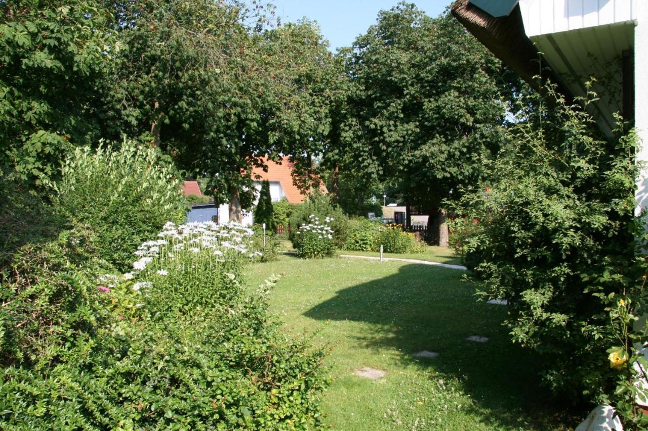 Strandstuebchen Apartment Zingst Exterior photo